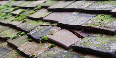 Ditchling roof repair costs